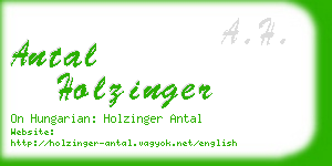 antal holzinger business card